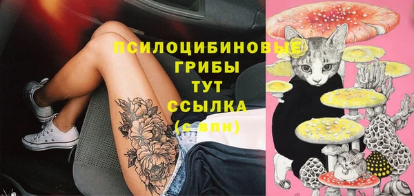 шишки Абинск