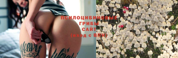 прущие крисы Россошь