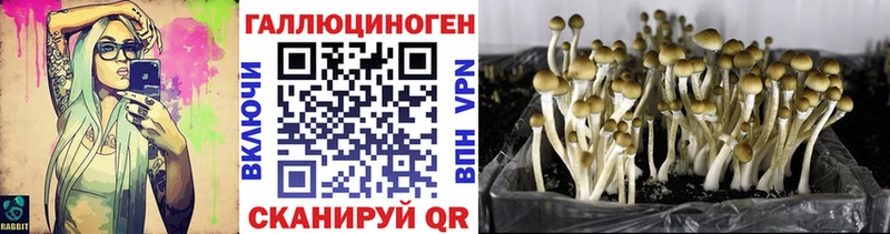 Псилоцибиновые грибы мухоморы  Балахна 